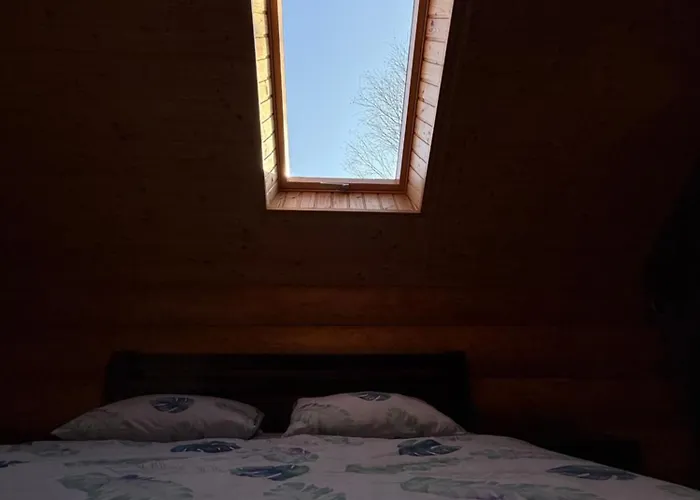 Tatil Evi над рікою Mizhhirya (Transcarpathia)